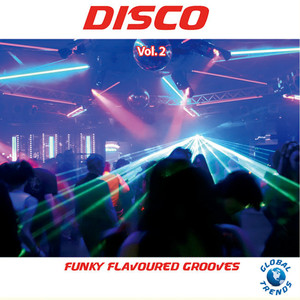 Disco Vol. 2 - Funky Flavoured Grooves