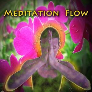 Meditation Flow