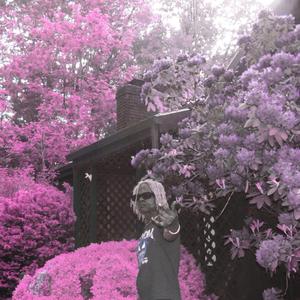 10 (Explicit)