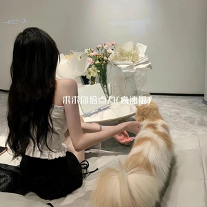 求求你给点力 (高速版)