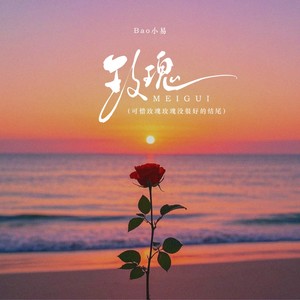 玫瑰 (可惜玫瑰玫瑰没很好的结尾)