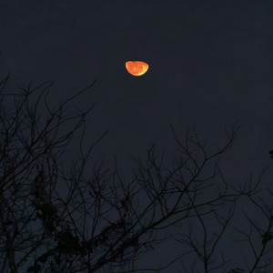 褪色的月亮 (Demo)