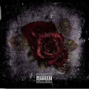 Controversial (Explicit)