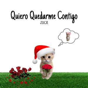 Quiero Quedarme Contigo