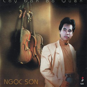 Ngọc Sơn- Cây đàn bỏ quên (Mưa Hồng CD 124)