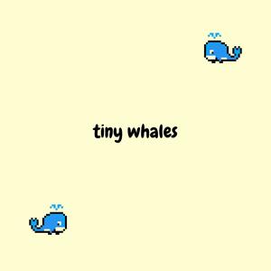 tiny whales