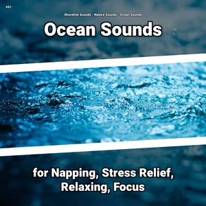 Ocean Sounds for Tinnitus