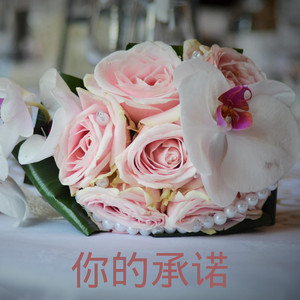 别哭，我最爱的人