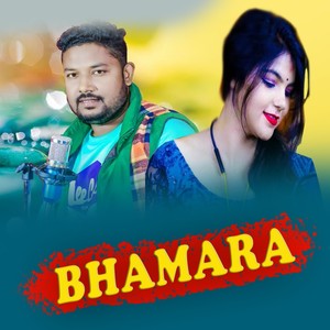 Bhamara