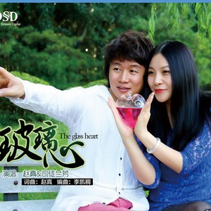 玻璃心-赵真&司徒兰芳