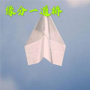 缘分一道桥 (电音版)