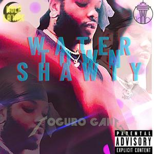 Water Town Shawty(feat. Stakelyy) (Explicit)