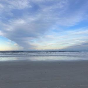 Why Do We Live (Freestyle) (Explicit)