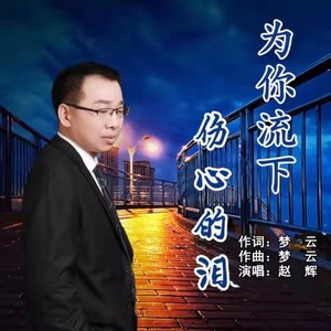 为你流下伤心的泪DJ版