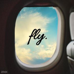 fly