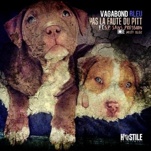 Vagabond Bleu - Pas la faute du pitt (Explicit)