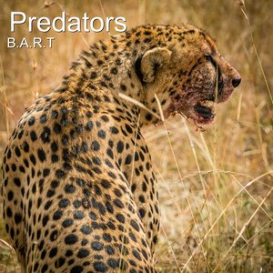 Predators (Explicit)