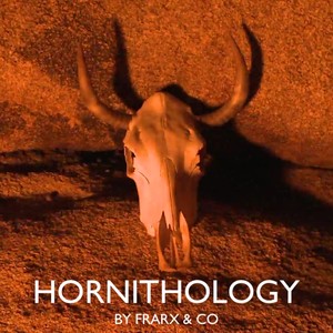 Hornithology (feat. Esther de Haas, Marcel Gorissen, Jos Hendriks, Edwin Menheere & Frank van Wely)