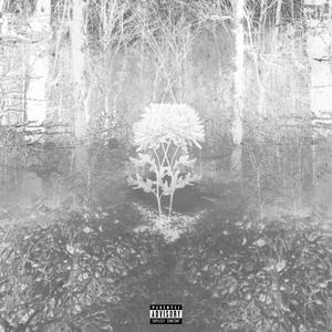 halk város (Explicit)