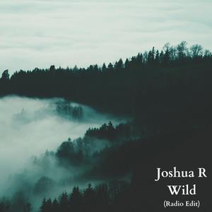 Wild (Radio Edit)