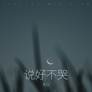 说好不哭 