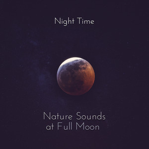 Soft Sounds for Night Time