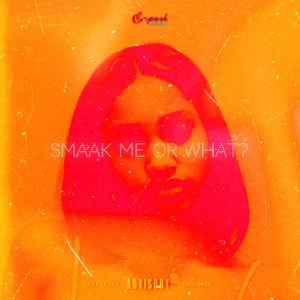 Smaak Me Or What? (Like That! By Laila! Re-Edit) [Explicit]