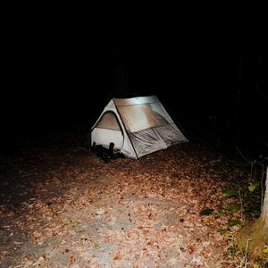 444 (galen tipton remix)