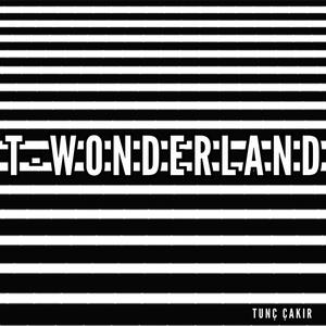 T-Wonderland