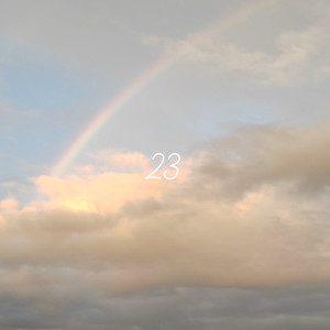 23