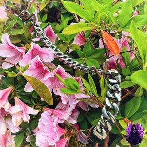 Chain Link (feat. Hundro) (Explicit)