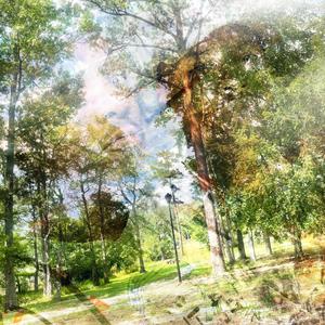 Loop In Love (Explicit)