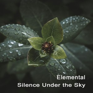 Silence Under the Sky