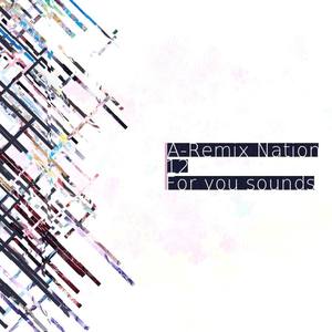 A-Remix Nation 12