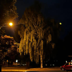 GHOST RIDERS (feat. K.Flipz & Master Splinter) (Explicit)