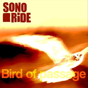 Bird Of Passage (feat. Dante Holmberg)