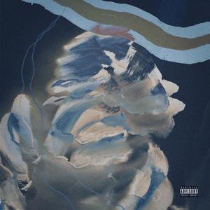 Privacy (feat. Dandi DG) (Explicit)