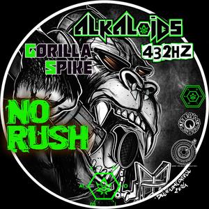 No rush (feat. Gorilla Spike)