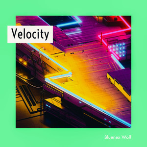 Velocity