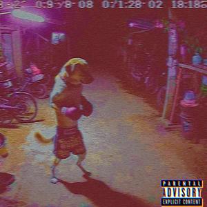 The Kings (feat. Sttiven Ths) (Explicit)