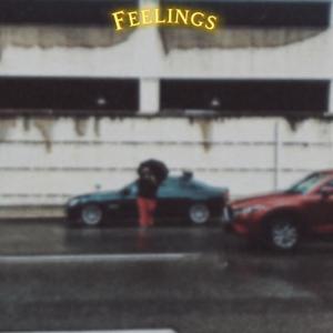 Feelings