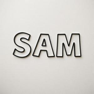Sam (Explicit)