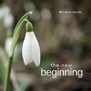 The New Beginning