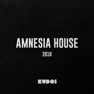 Amnesia House 2018