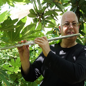 Divertimento su motivi della Norma