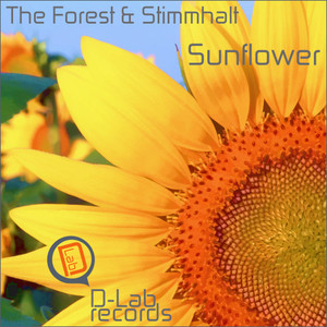 Sunflower (Wellington Boy Remix)