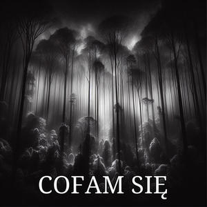 Bilixoo - Cofam Się (feat. Olo Olson & yvngmateusz) (Explicit)