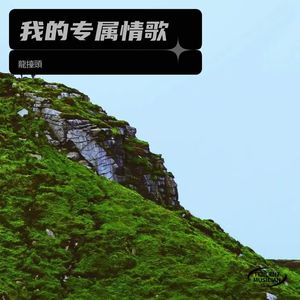 我的专属情歌