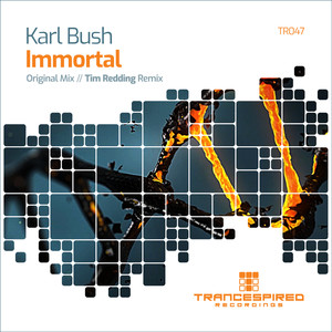 Immortal (Tim Redding Remix)