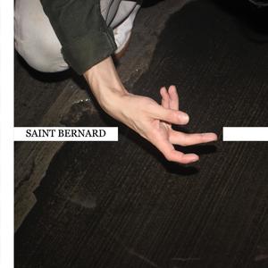 SAINT BERNARD (Explicit)